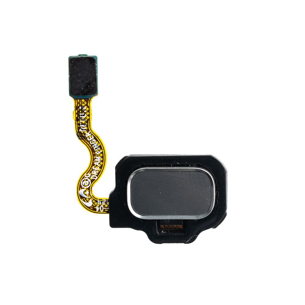 Home Button Flex Cable with Touch ID for Samsung Galaxy S8 G950F / S8 Plus G955F - Coral Blue